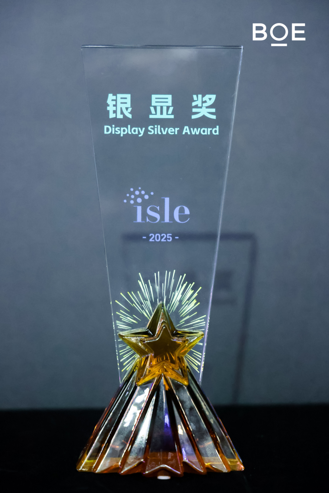 1741572491891259.png 12.png