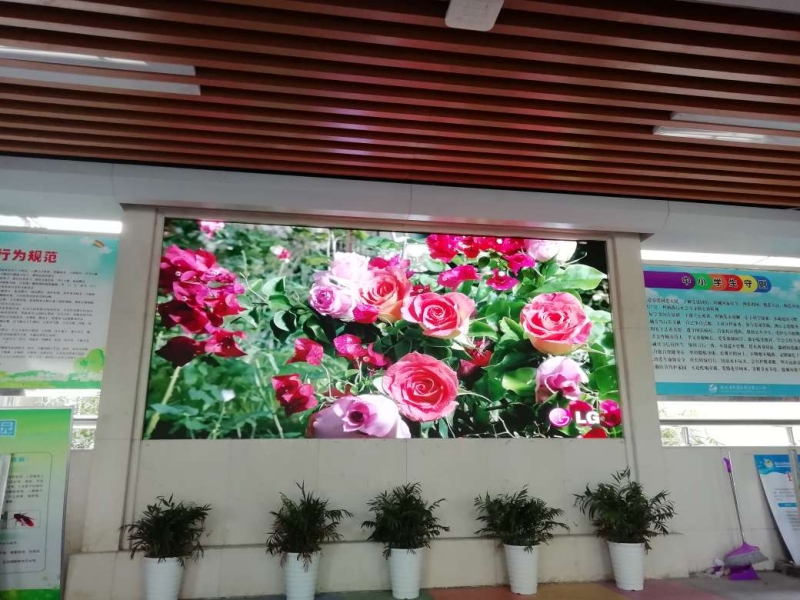 水果湖二小 P1.25  5.6個(gè)平方